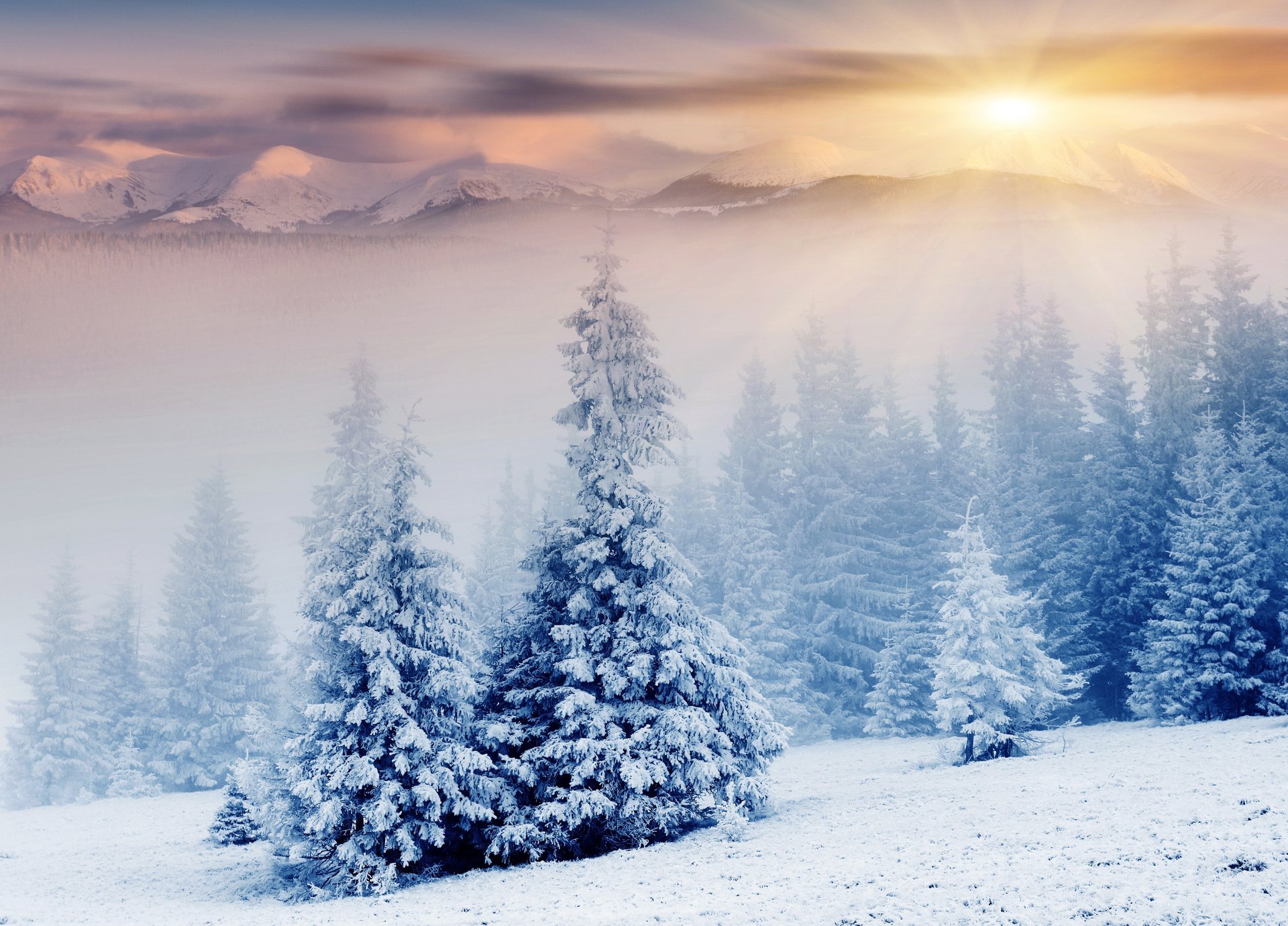 natura inverno montagne alberi di natale neve raggi del sole