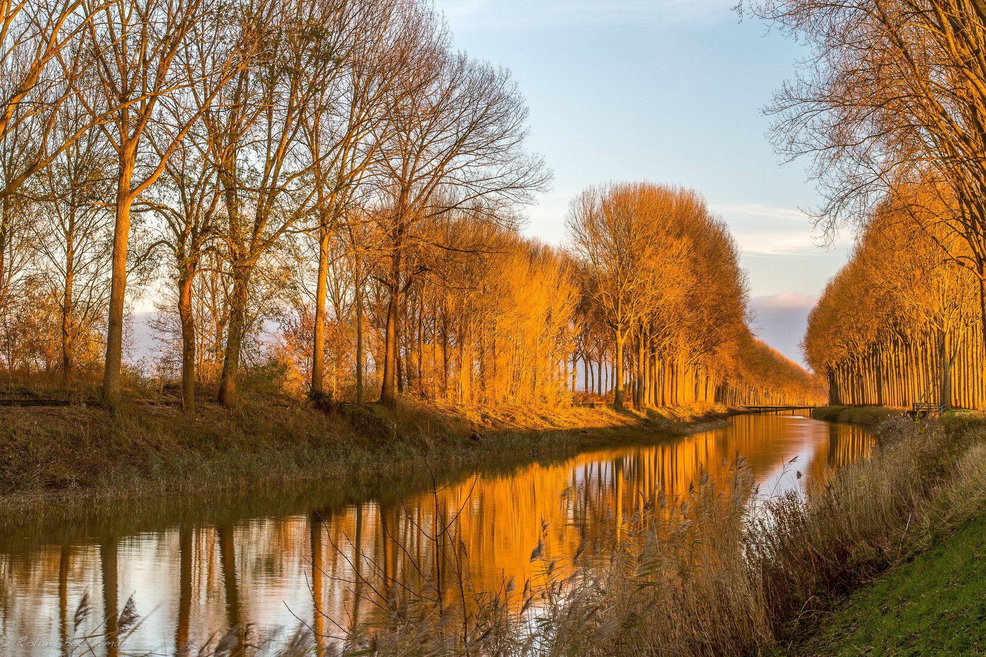 natura canale alberi luce