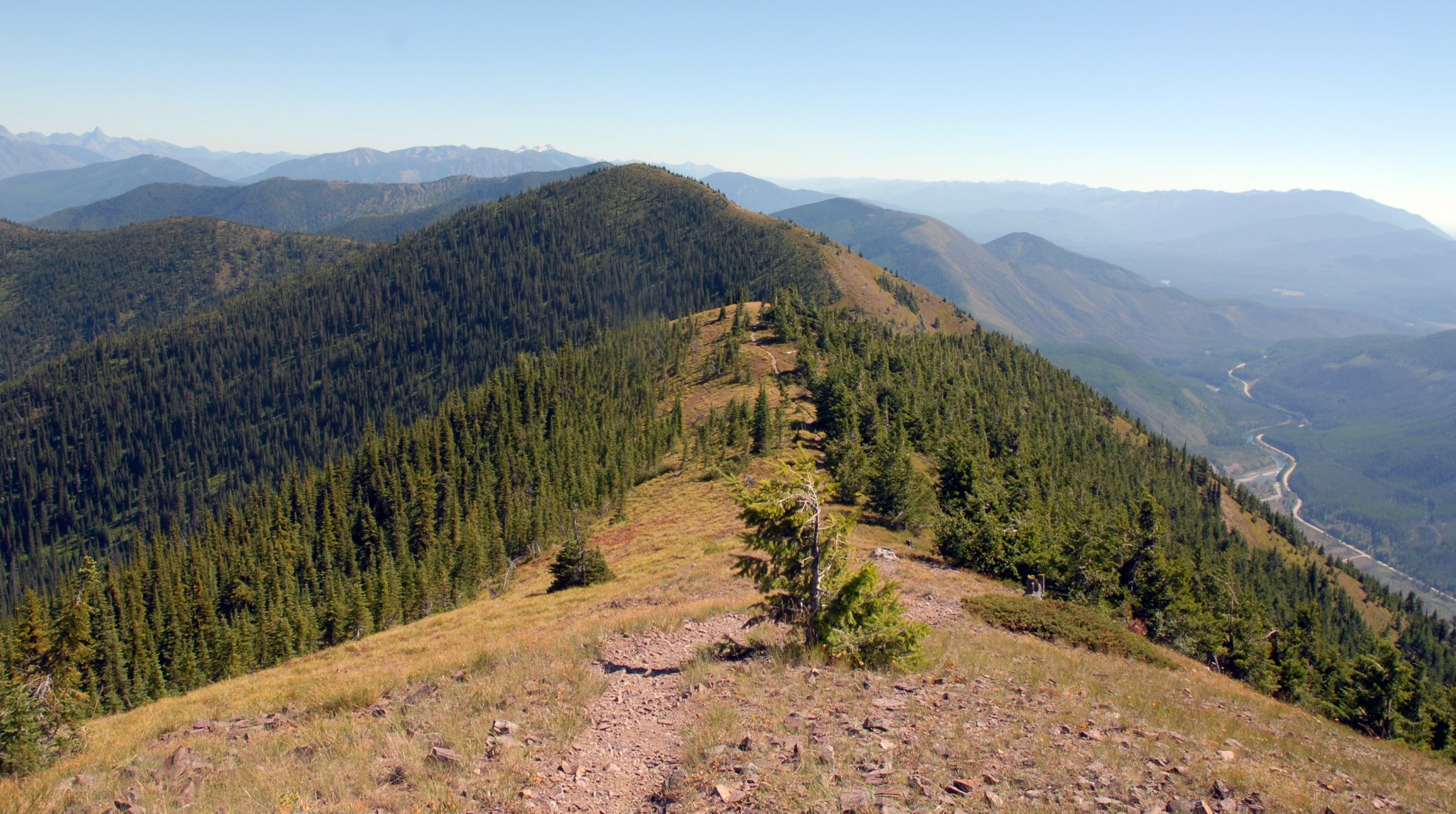 montagna foresta paesaggio natura