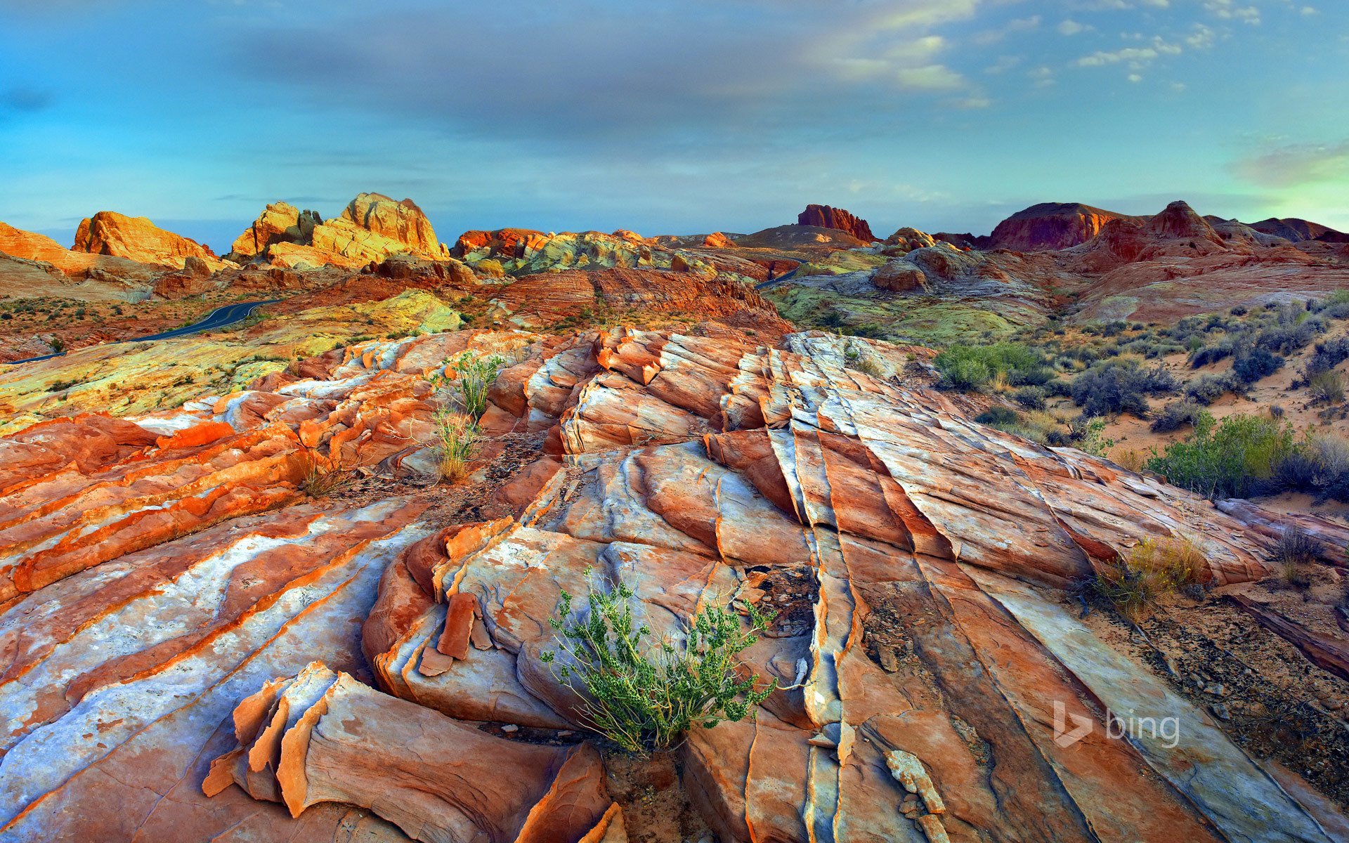 ky rock plants landscape stones horizon wallpaper