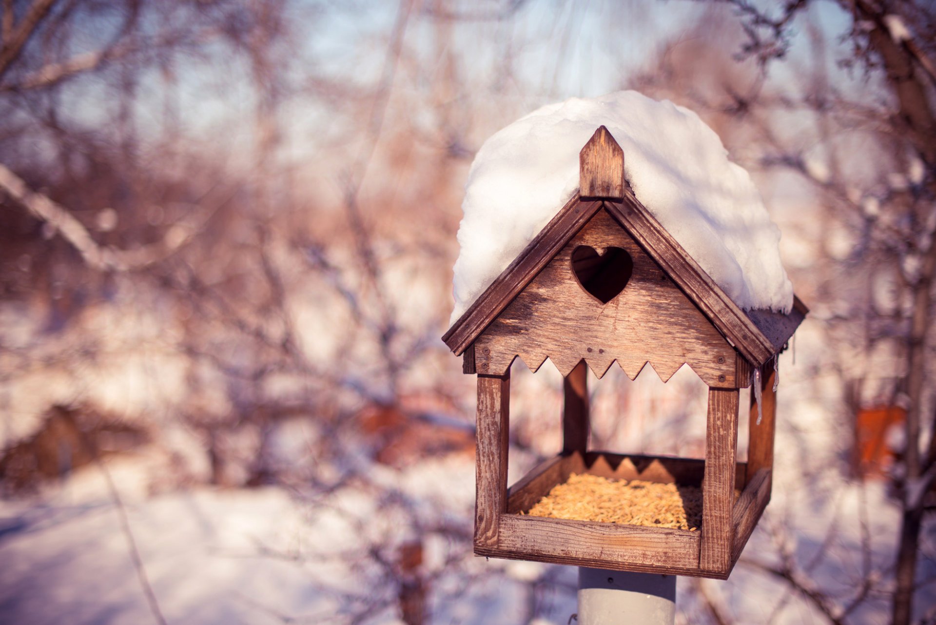 pajarera grano árboles ramas nieve invierno naturaleza