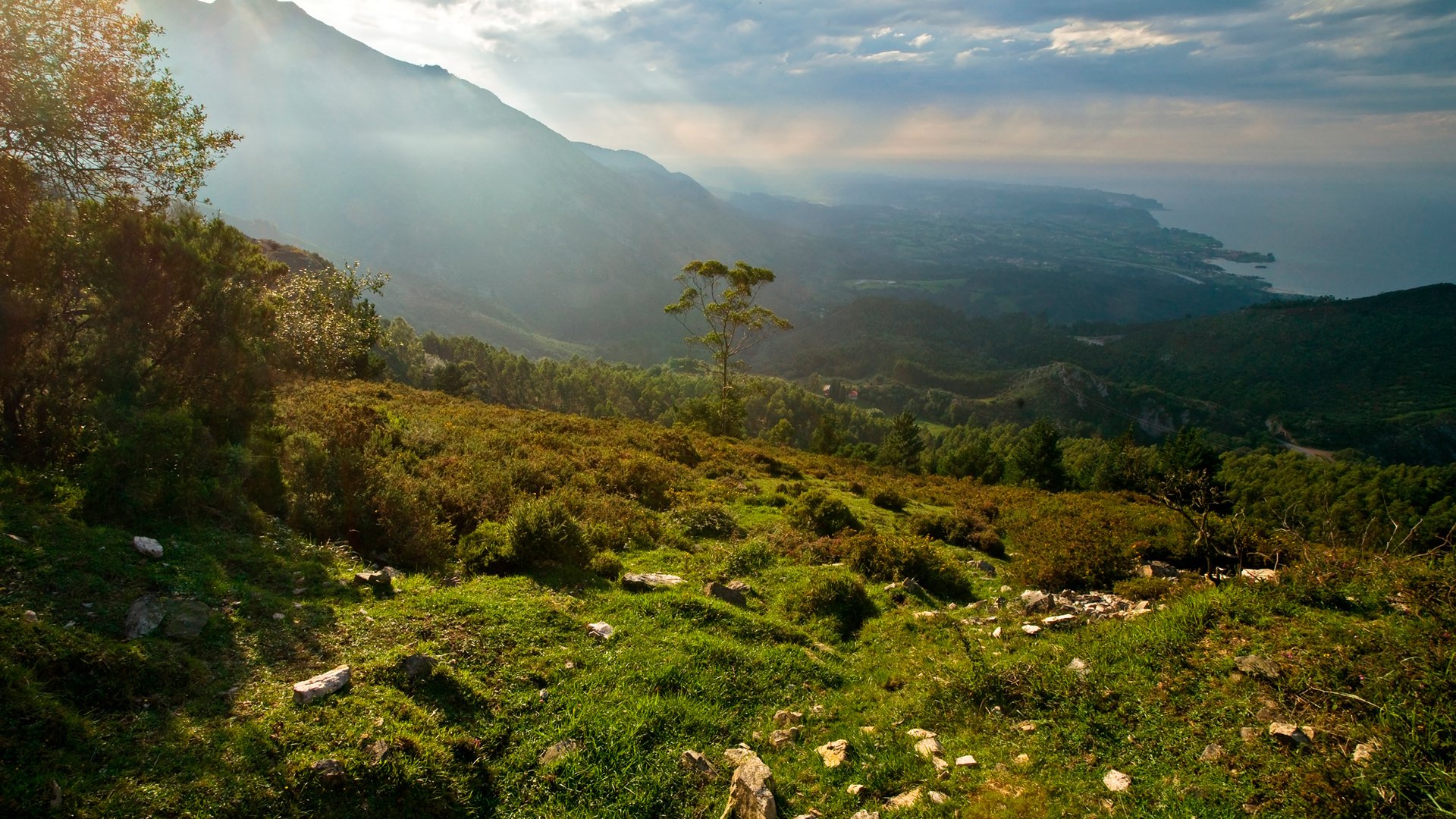 mer montagnes matin nature