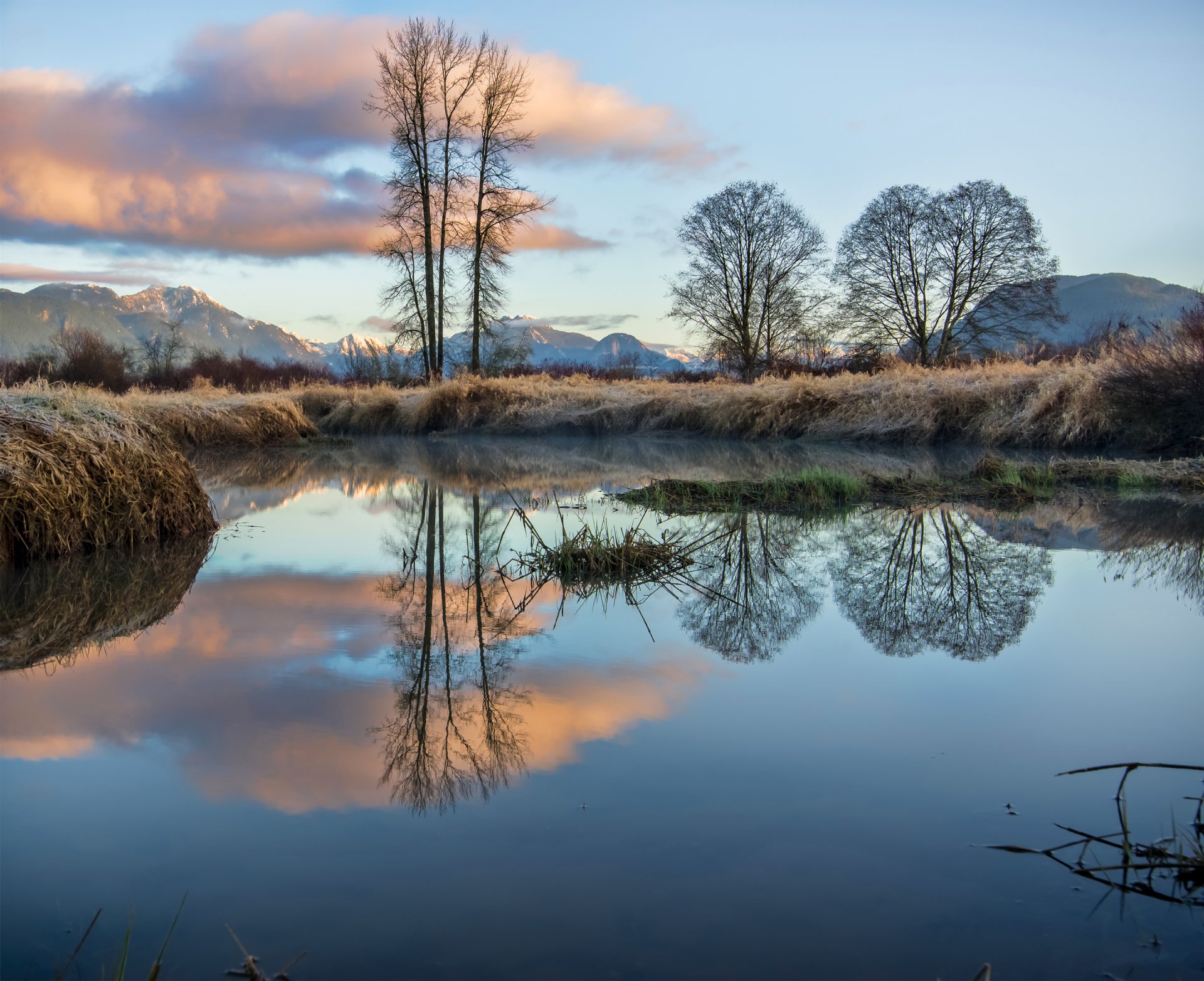 colombie-britannique canada montagnes arbres lac réflexion ciel nuages givre herbe