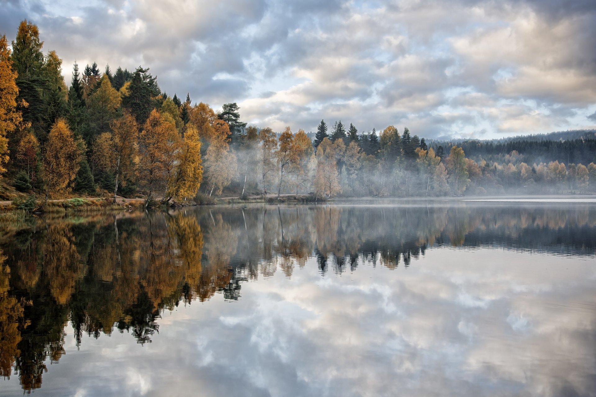 lago bosque árboles mañana neblina otoño