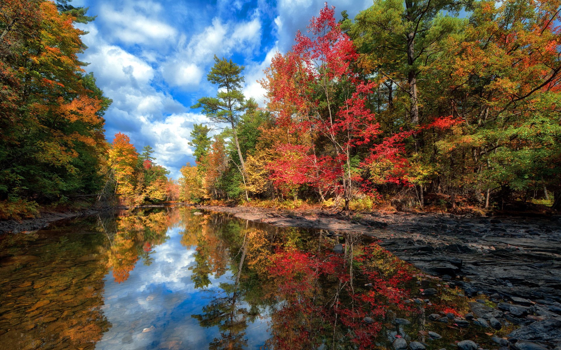 himmel wolken wald bäume see herbst wasser reflexion landschaft