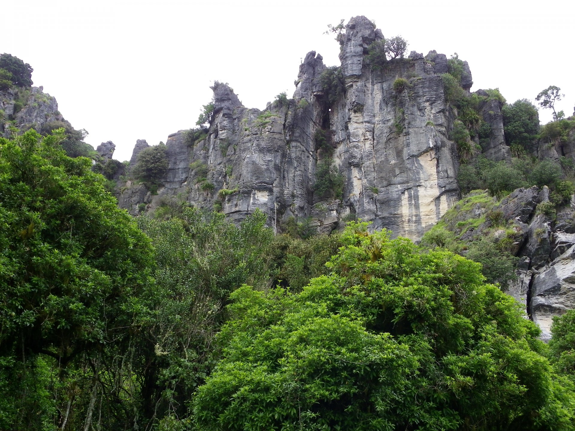 mangaotaki nuova zelanda cielo montagne foresta alberi