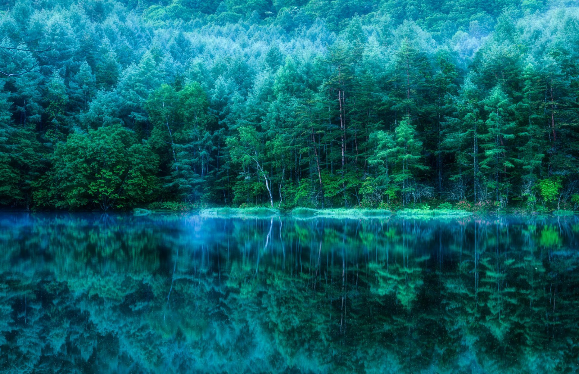 japan teich teich wald bäume reflexion natur