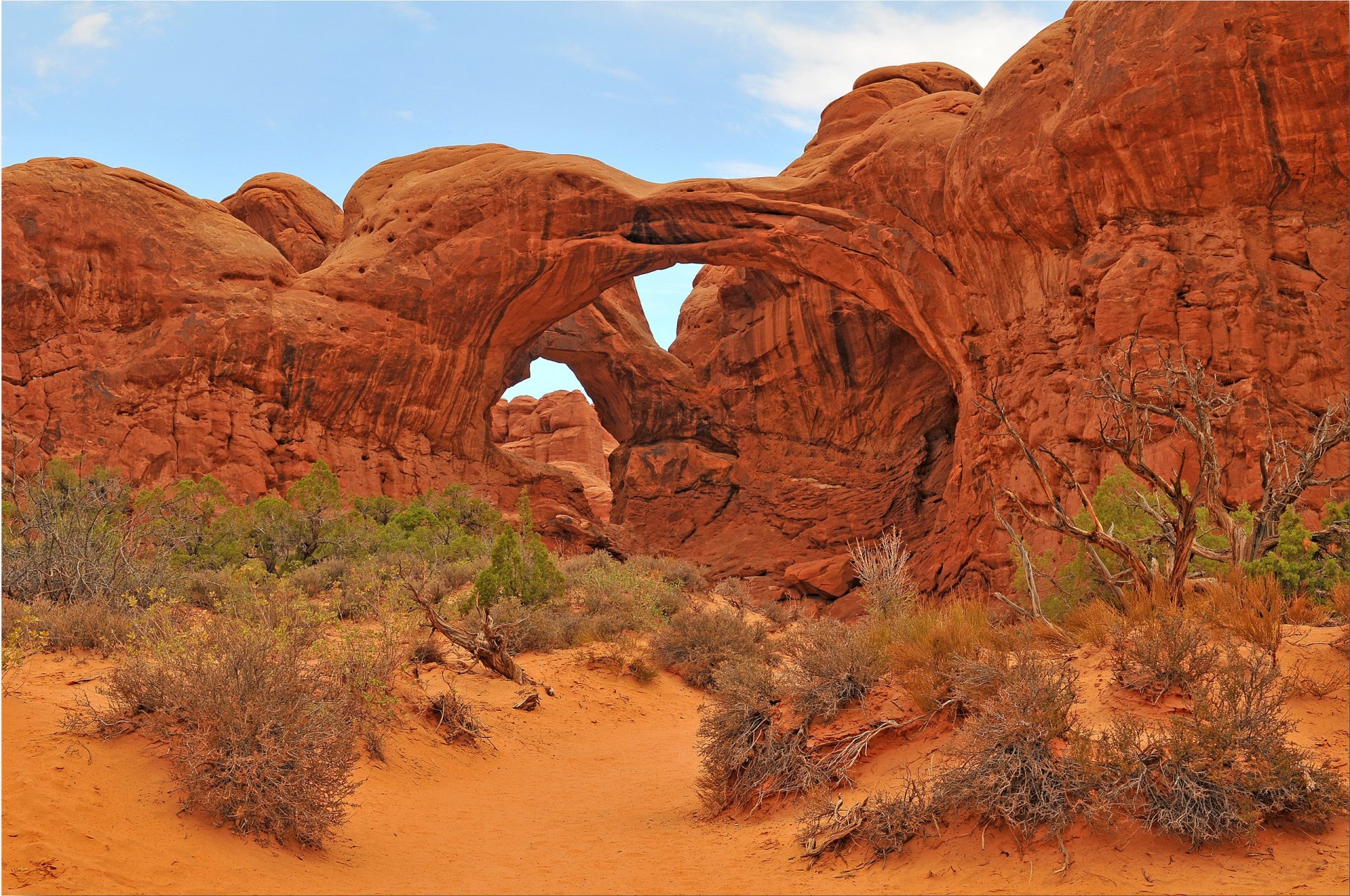 arco parco nazionale usa rocce arco cielo alberi cespugli