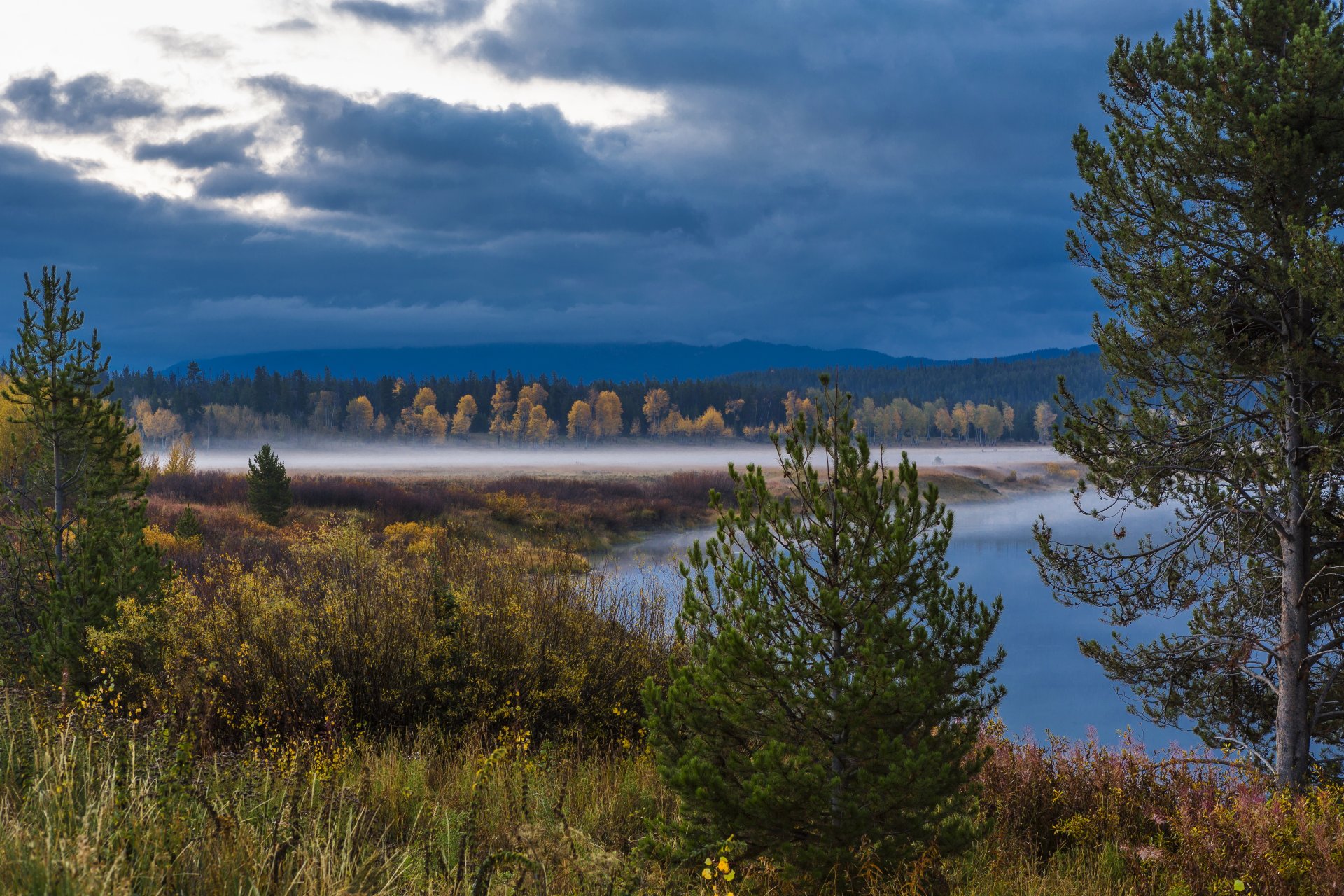 estados unidos wyoming parque nacional grand teton grand teton wyoming bosque arbustos niebla lago árboles nubes