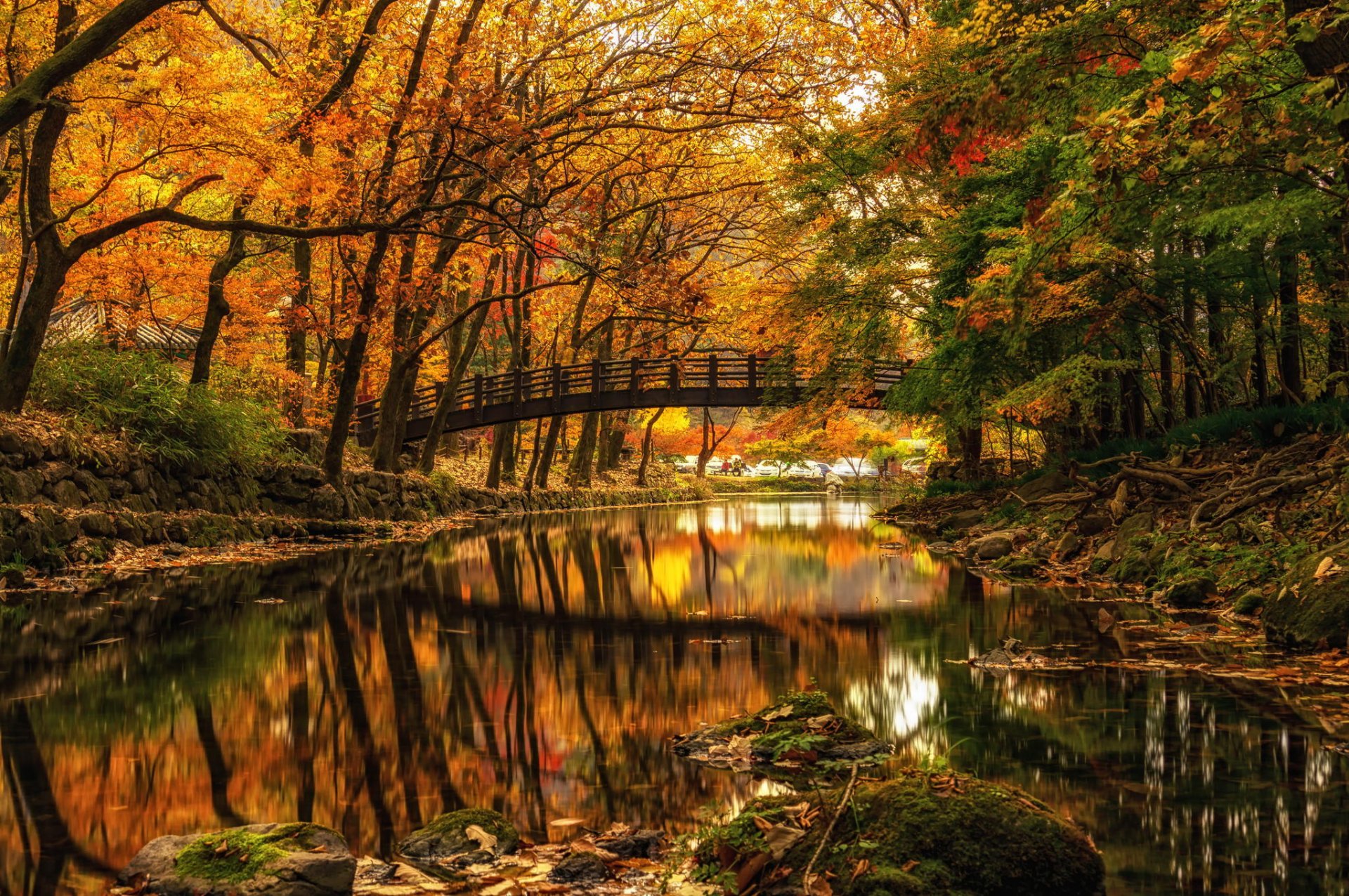 herbst fluss brücke park bäume