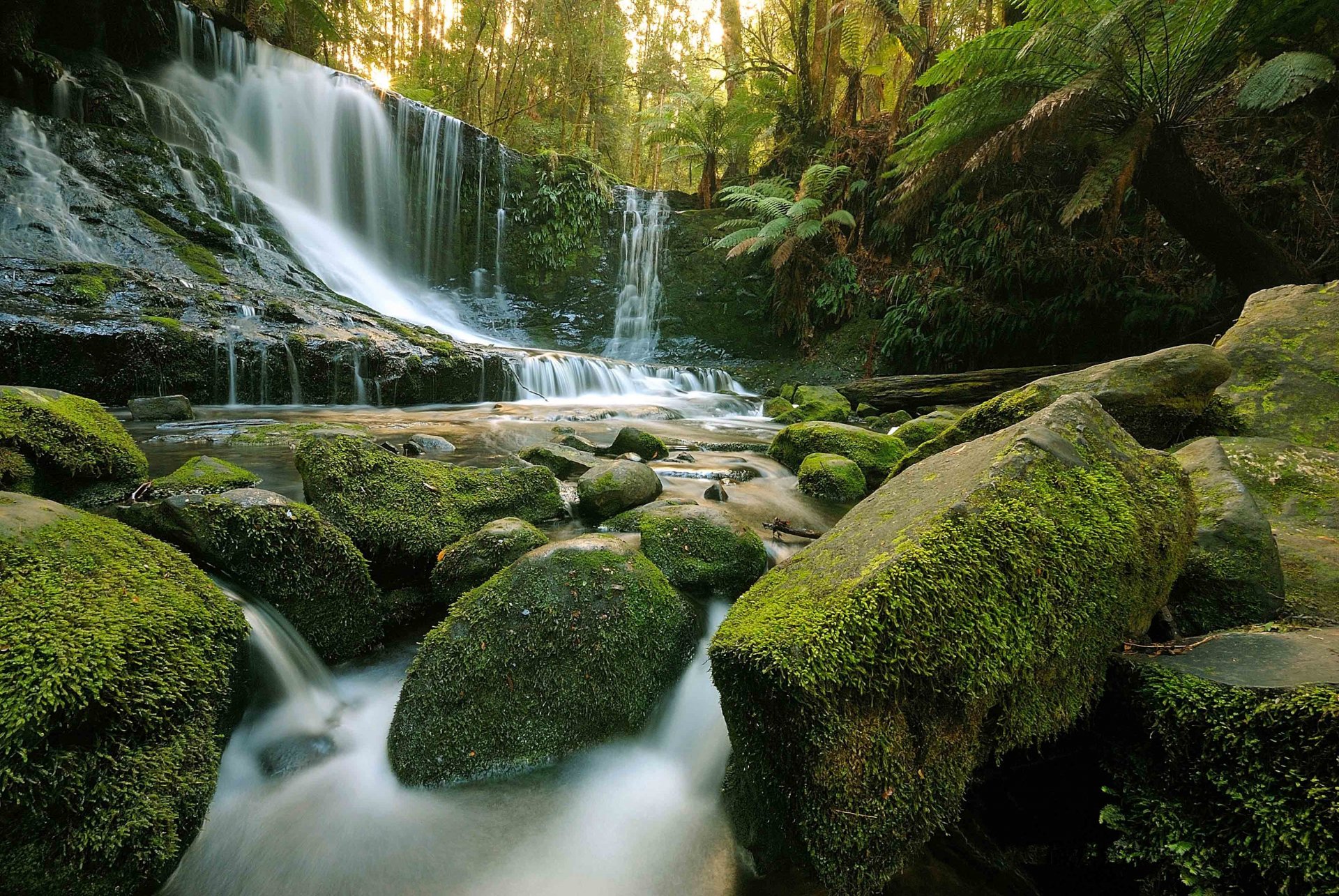 cascada rocas musgo rocas árboles naturaleza bosque