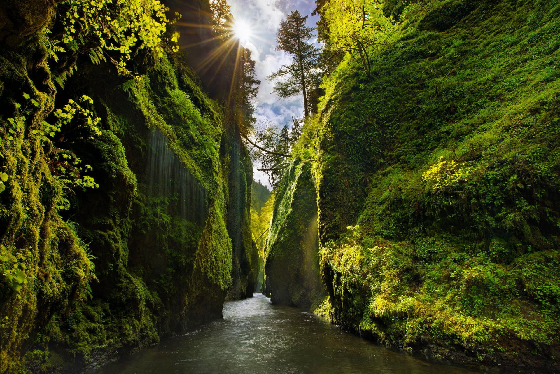 estados unidos estado oregon cañón río rocas laderas musgo árboles vegetación cielo luz sol rayos