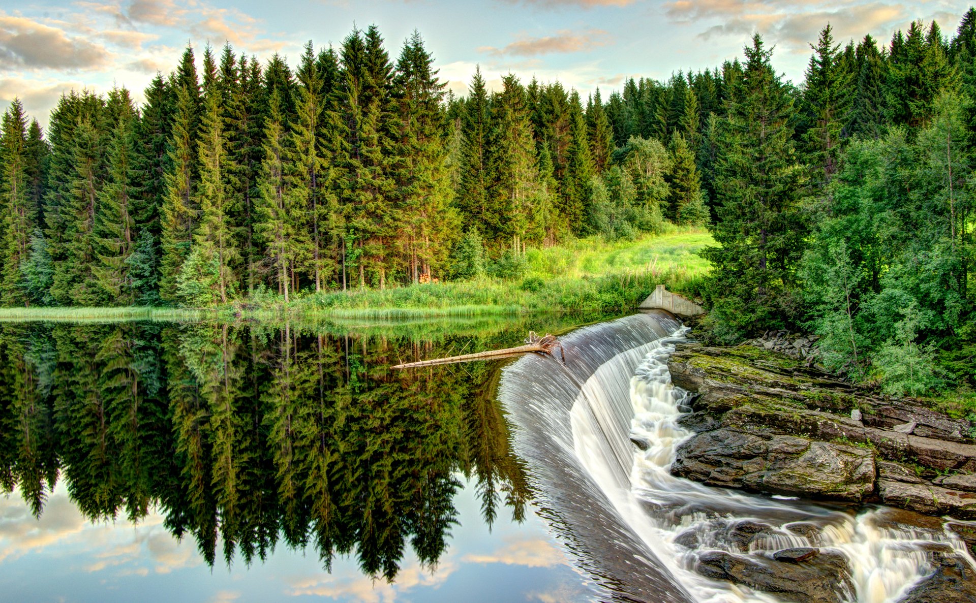 cielo nuvole foresta alberi fiume cascata rocce rapide