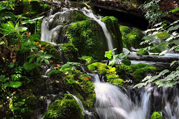 Ein Wasserfall aus Stein. Grünes Moos und Blätter