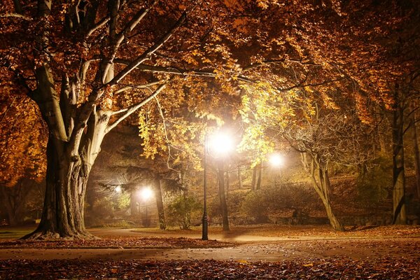 Camino en el parque de otoño iluminado por linternas