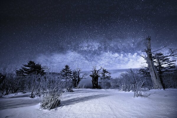 Via Lattea invernale nella foresta innevata