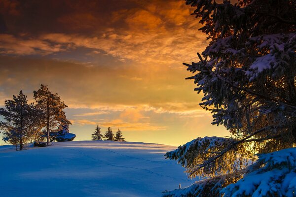 Hermosos campos de invierno escandinavos