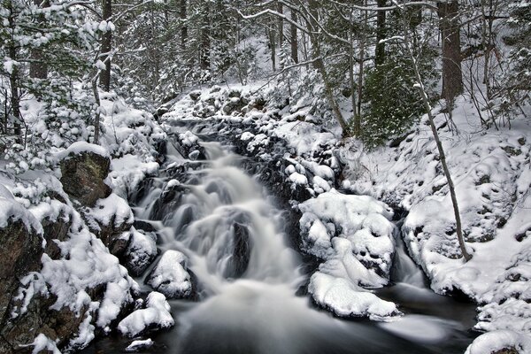 River in snowdrifts in the forest