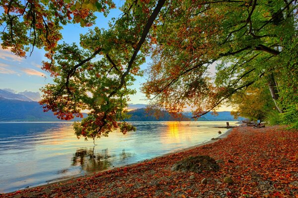 Das herbstliche Ufer des Flusses. Berge am Horizont