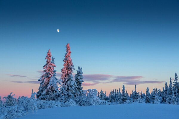 Cielo lunare e invernale