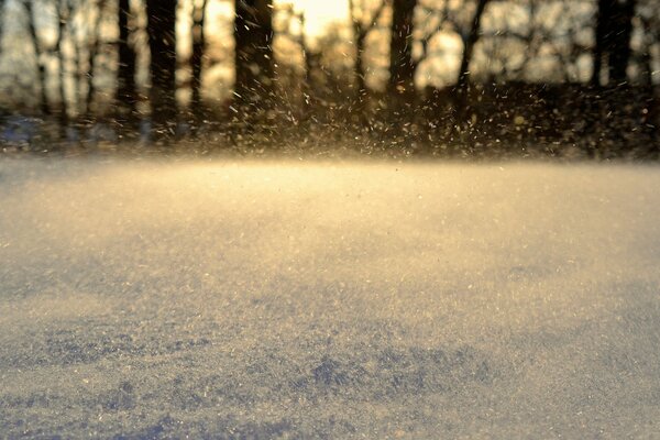 Schimmernder wilder Schnee im Winter