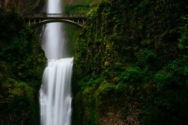 Cascade sous le pont autour de la verdure