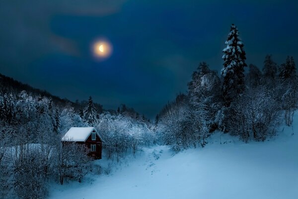 Zimowa noc i samotna Chata