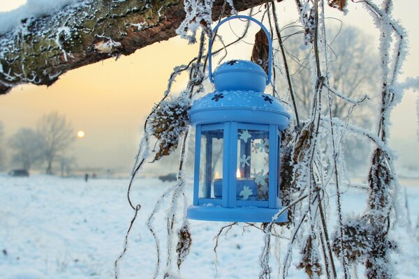 Niebieska latarnia na zimowym drzewie