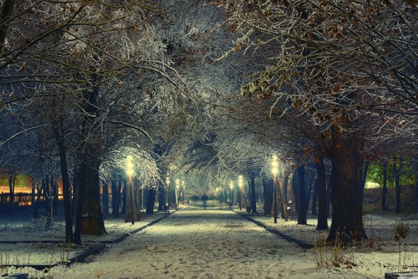 Zimowy wieczór w zaśnieżonym parku