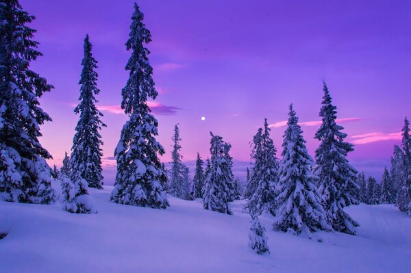 Winter fascinates with its beauty