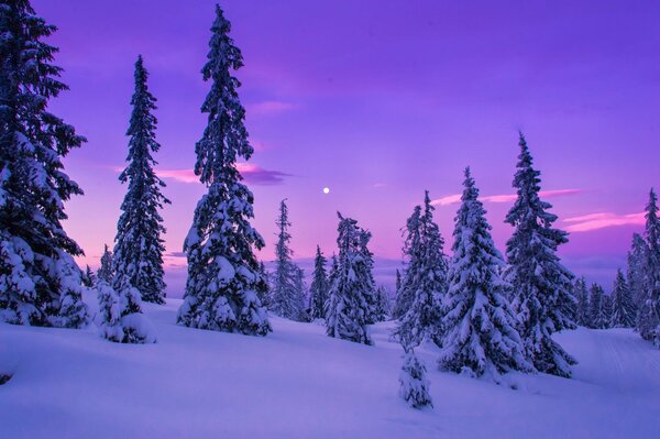 L inverno affascina con la sua bellezza