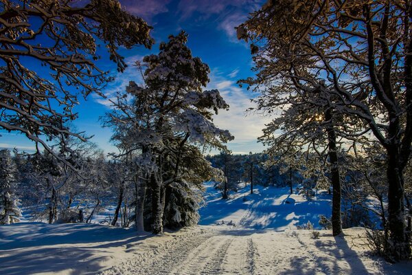 Un inverno favoloso e soleggiato in Norvegia