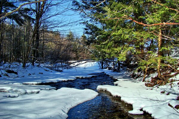 Winter Fluss im Wald unter Schnee