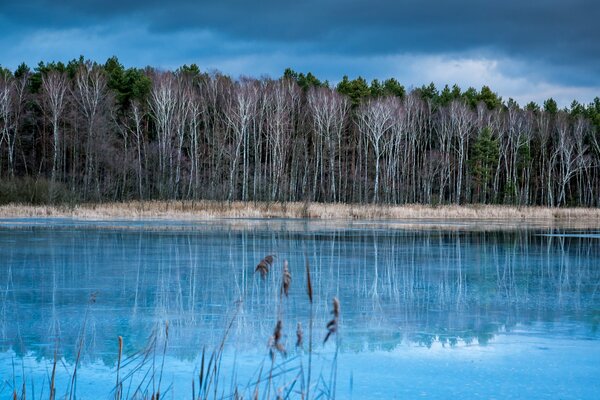 El bosque de otoño de Alemania se refleja en el agua