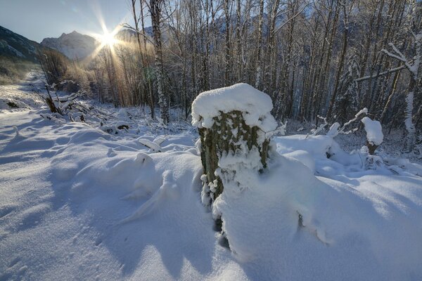 Winter sunny day in the mountains