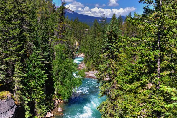 Fluss im Jasper National Park