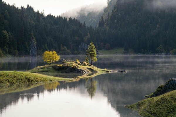 Enfants dessiner paysage nature