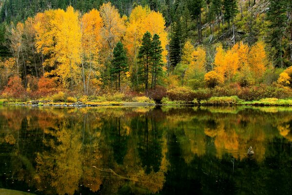 Reflejo en el agua del bosque de Otoño