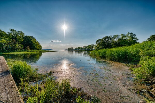 La Natura Di Log Island. Un bel paesaggio. Sole splendente