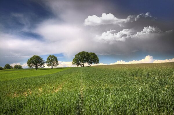 Weiße und graue Wolken über Grün