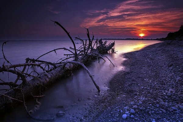 Bellissimo paesaggio marino. Mare al tramonto