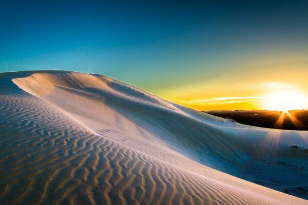 Amanecer brillante en el desierto. Duna