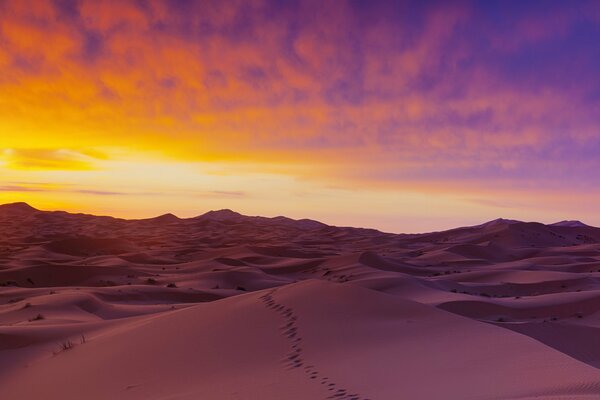 Nature in the desert. Cloudy horizon in summer