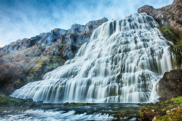 Amplia cascada en medio de la vida silvestre