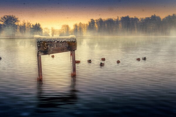Artistic processing of a photo of a lake with ducks