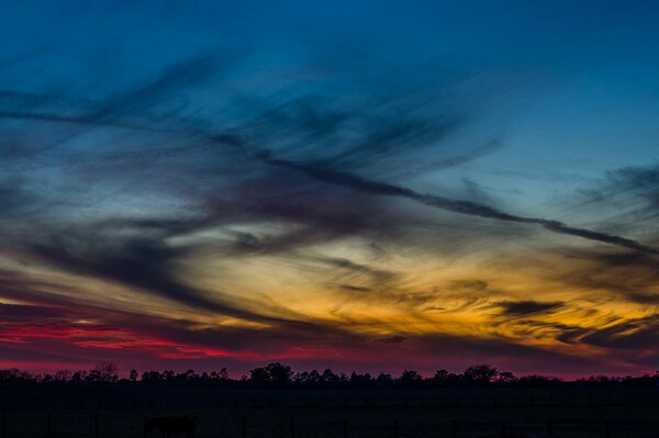 Spectacular evening sunset over the forest