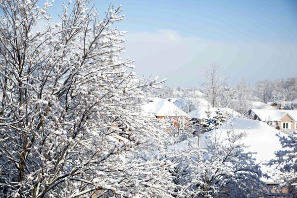 Schneebedeckte Bäume vor dem Hintergrund der Winterstadt