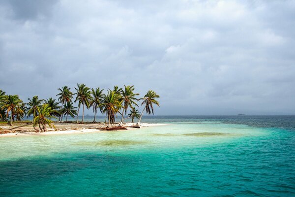 Le coste di Panama sono coste eccezionali, palme e mare