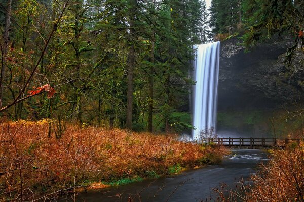 Beautiful waterfall in the forest. Bridge on the river