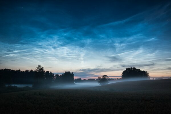 Evening fog meets dawn